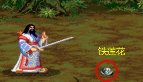 三国战记119怎么拿四剑(三国战记哪个版本可以拿毒剑)插图9