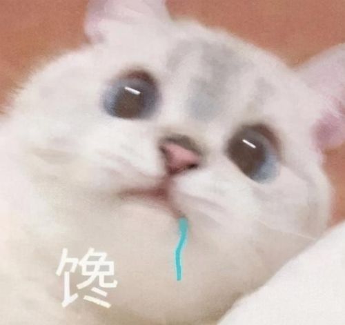 剑网三九天(剑网3九天号怎么来的)插图4
