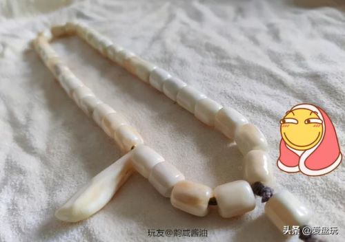 洛克王国独角仙进化(洛克王国独角龙厉害吗)插图22