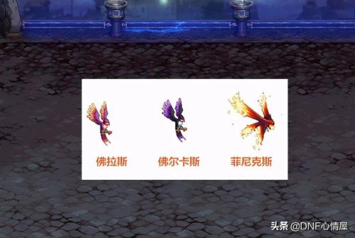 dnf华利弗宠物外观(dnf宠物火鸟和冰鸟哪个好看)插图