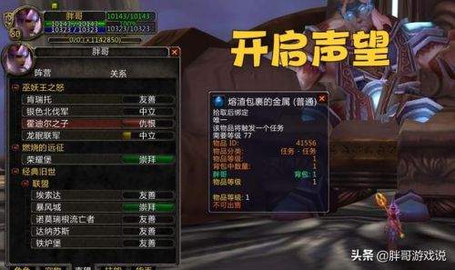 霍迪尔之子声望战袍在哪买(霍迪尔之子声望军需官买什么坐骑)插图3