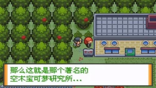 口袋妖怪心金随机版(口袋妖怪心金前期必抓)插图17