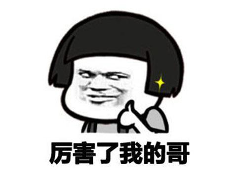 植物大战僵尸内购版(全解锁植物5阶0阳光无冷却最新版)插图12