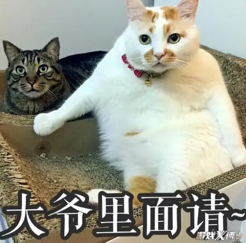永恒之塔铁耙号单人副本攻略(铁耙号入场任务在哪里接魔族)插图2