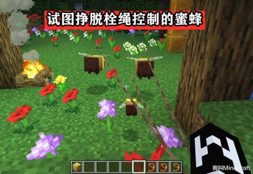 我的世界蜜蜂怎么繁殖(下页岩)插图2