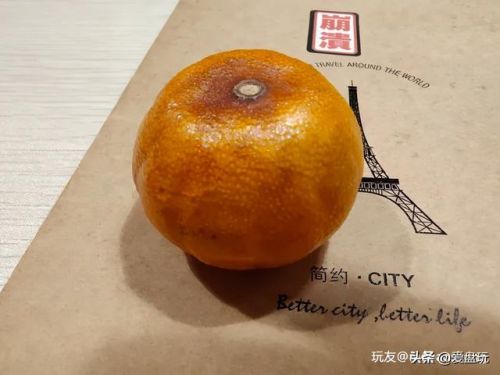 洛克王国独角仙进化(洛克王国独角龙厉害吗)插图27
