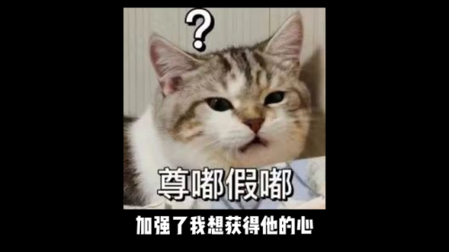 三国杀单机加强版2021最新版(三国杀无需联网单机版)插图3