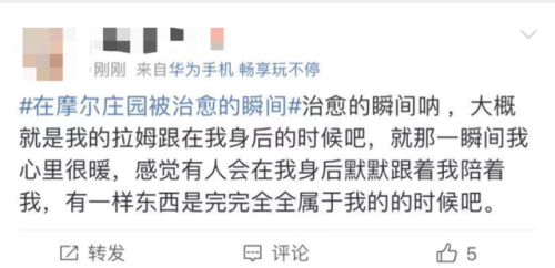 奇异毛毛豆什么火(花花毛毛和泡泡)插图5