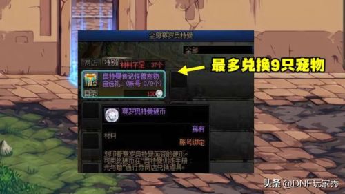 dnf宠物哪里可以买到(dnf商城宠物能买什么宠物)