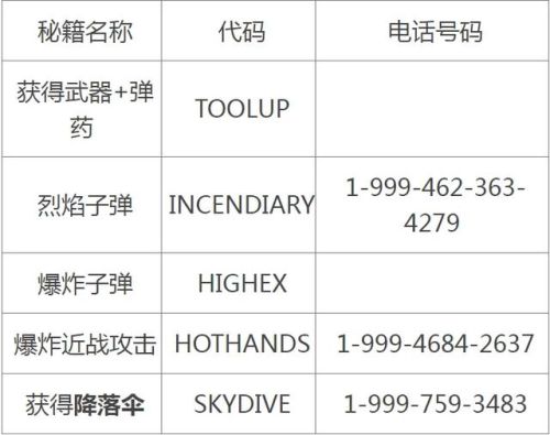 gta4秘籍无敌永久(gta4最稀有的跑车秘籍)插图1