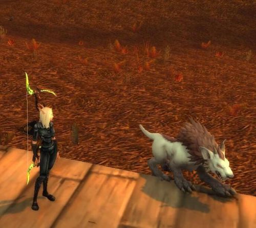魔兽世界猎人亡灵宠物图鉴(魔兽世界10.0巨龙时代)插图