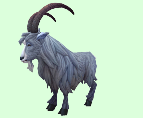 魔兽世界潘达利亚猎人稀有宝宝(魔兽世界稀有水黾)插图12
