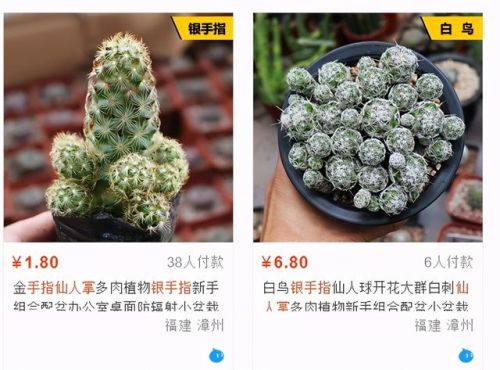 金手指大全(金手指排行榜前十名)插图3