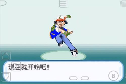 口袋妖怪心金随机版(口袋妖怪心金前期必抓)插图12