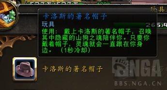 板甲手套隐藏幻化(魔兽世界板甲幻化排行榜)插图4