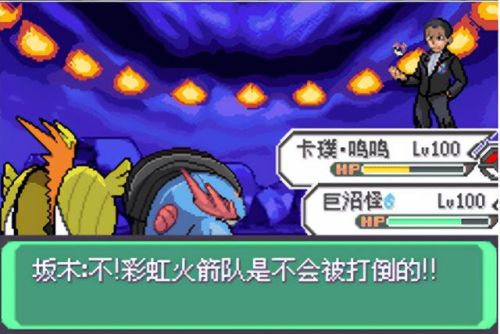 口袋妖怪心金随机版(口袋妖怪心金前期必抓)插图21