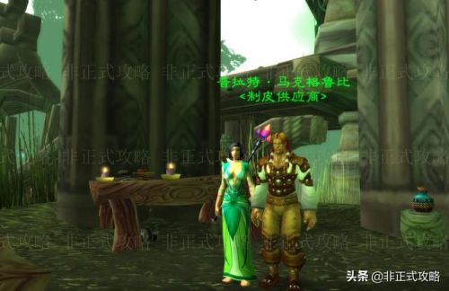 元素制皮图纸大全(元素制皮装备一览)插图8