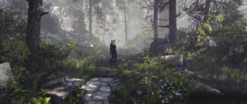 巫师2免安装中文版(巫师2如何开无敌)插图17