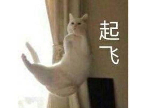 斗战神2020最强刷图(斗战神59级神将刷图加点)插图2