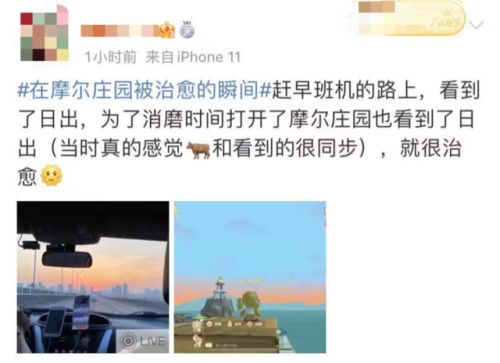 奇异毛毛豆什么火(花花毛毛和泡泡)插图7