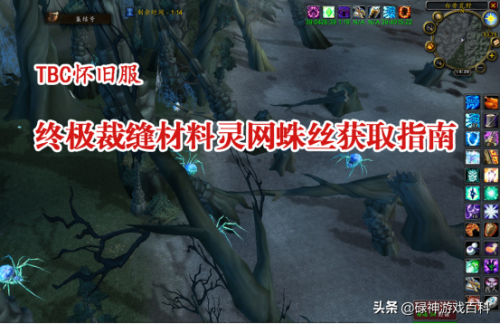 灵网蜘蛛丝哪里刷(wow蜘蛛丝在哪刷)插图
