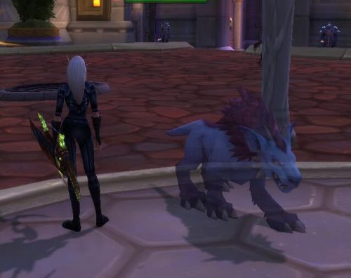 魔兽世界猎人亡灵宠物图鉴(魔兽世界10.0巨龙时代)插图4