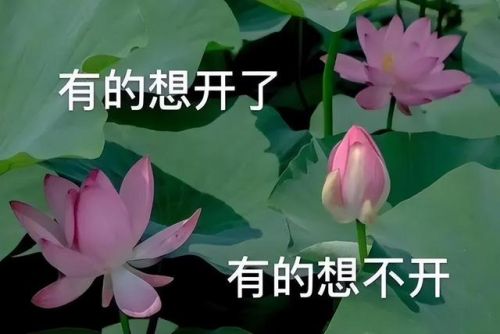 魔兽游戏手机版(好玩的魔兽手游)插图3