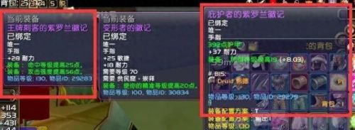 灰烬审判军声望有什么用(魔兽世界灰烬审判军声望商人)插图