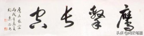 鹰击长空什么意思(鹰击长空,鱼翔浅底)插图15