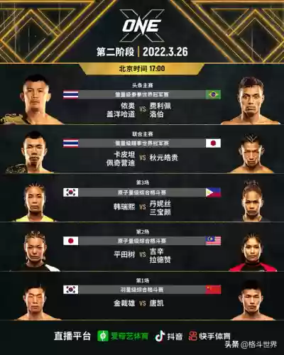 格斗队阵容推荐搭配图(格斗家配什么阵容)插图1