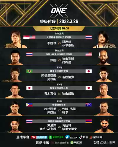 格斗队阵容推荐搭配图(格斗家配什么阵容)插图