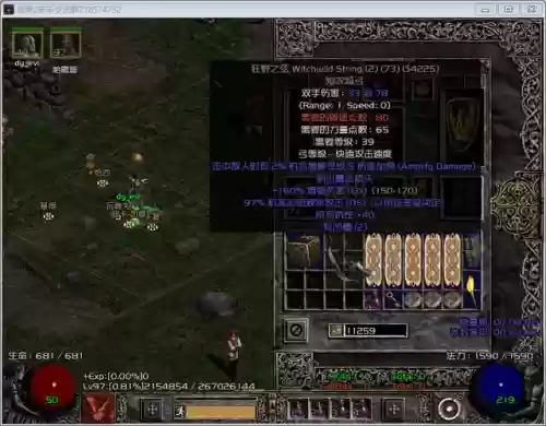 暗黑2佣兵最强阵容搭配(暗黑2哪个雇佣兵厉害)插图1