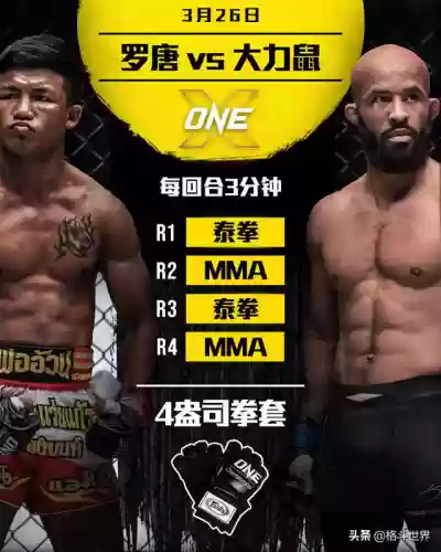 格斗队阵容推荐搭配图(格斗家配什么阵容)插图3