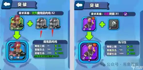 小鸡出击前期阵容怎么搭配(小鸡和什么搭配好吃)插图2