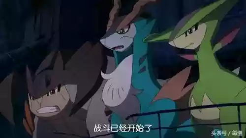 格斗神兽推荐阵容搭配图(宝可梦最强单打神兽阵容)插图2