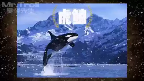 猎食者阵容克星搭配攻略(黑暗料理王最强狩猎阵容)插图4