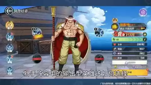 新世界咋样搭配阵容装备(2019燃烧意志最强阵容新世界)