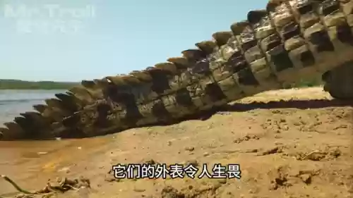 猎食者阵容克星搭配攻略(黑暗料理王最强狩猎阵容)插图