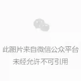 新生化危机主演阵容介绍(生化危机所有角色)插图6