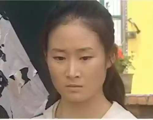 乡村爱情最火的阵容叫什么(乡村爱情里谁最漂亮)插图13
