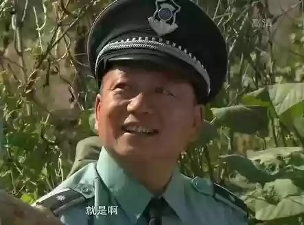 乡村爱情最火的阵容叫什么(乡村爱情里谁最漂亮)插图4
