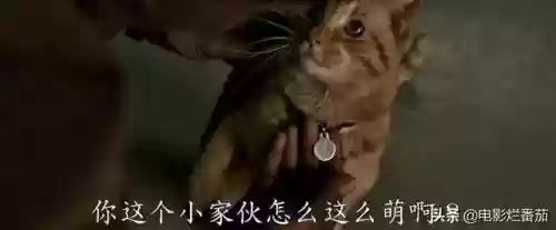 绯红终章爱琳诗篇阵容(爱琳诗篇最强阵容)插图28