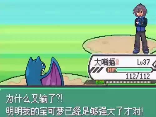 究极绿宝石5无敌阵容推荐(究极绿宝石5.5什么队伍最强)插图59