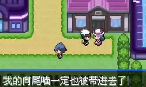 究极绿宝石5无敌阵容推荐(究极绿宝石5.5什么队伍最强)插图39