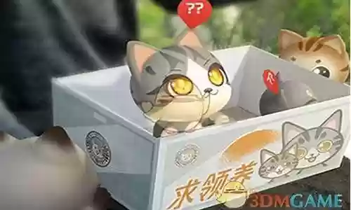 犀牛仔阵容搭配