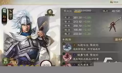 大氪姜维阵容搭配插图