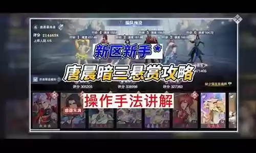 暴雨阵容搭配攻略最新