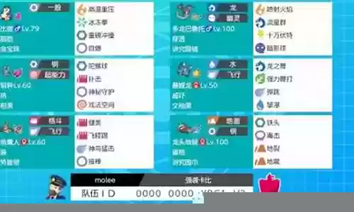 剑盾空间阵容搭配