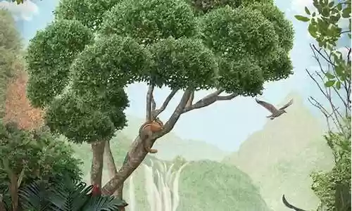 女心理师阵容搭配