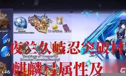 夜阑搭配什么阵容图片